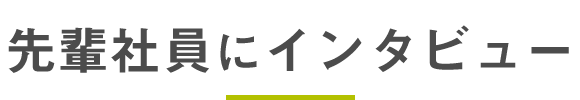 先輩社員にインタビュー