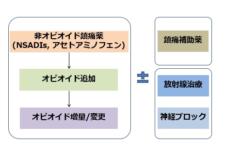 リリカ ロキソニン 併用