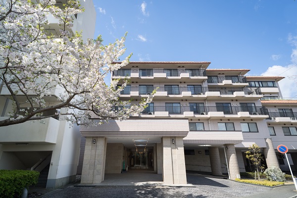 園長ブログを更新しました～夢のあとさき2025年4月号～