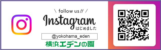 インスタ用バナー