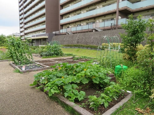 藤沢エデンの園の「菜園」