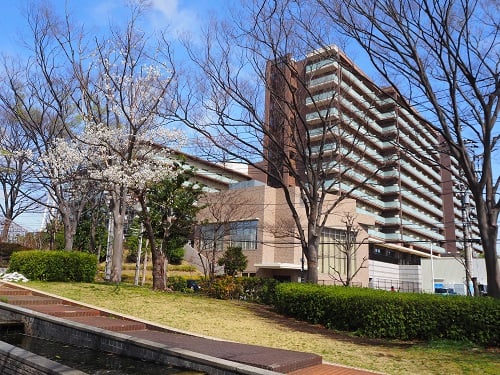 二番構公園の桜が見ごろです♪②