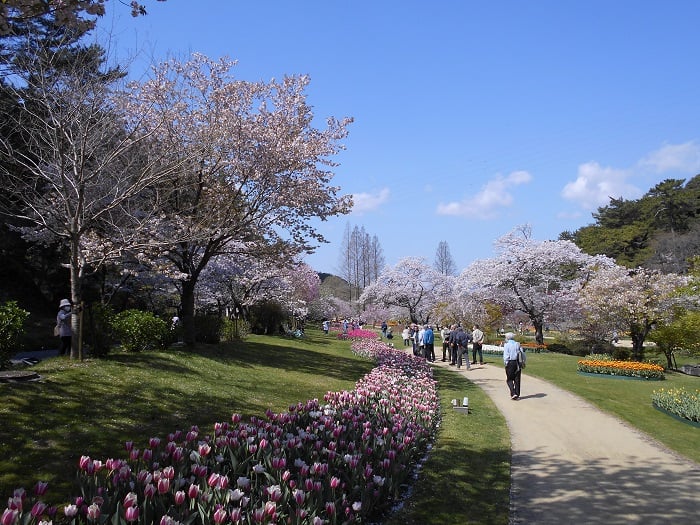 「お花見企画」～はままつフラワーパークにて～