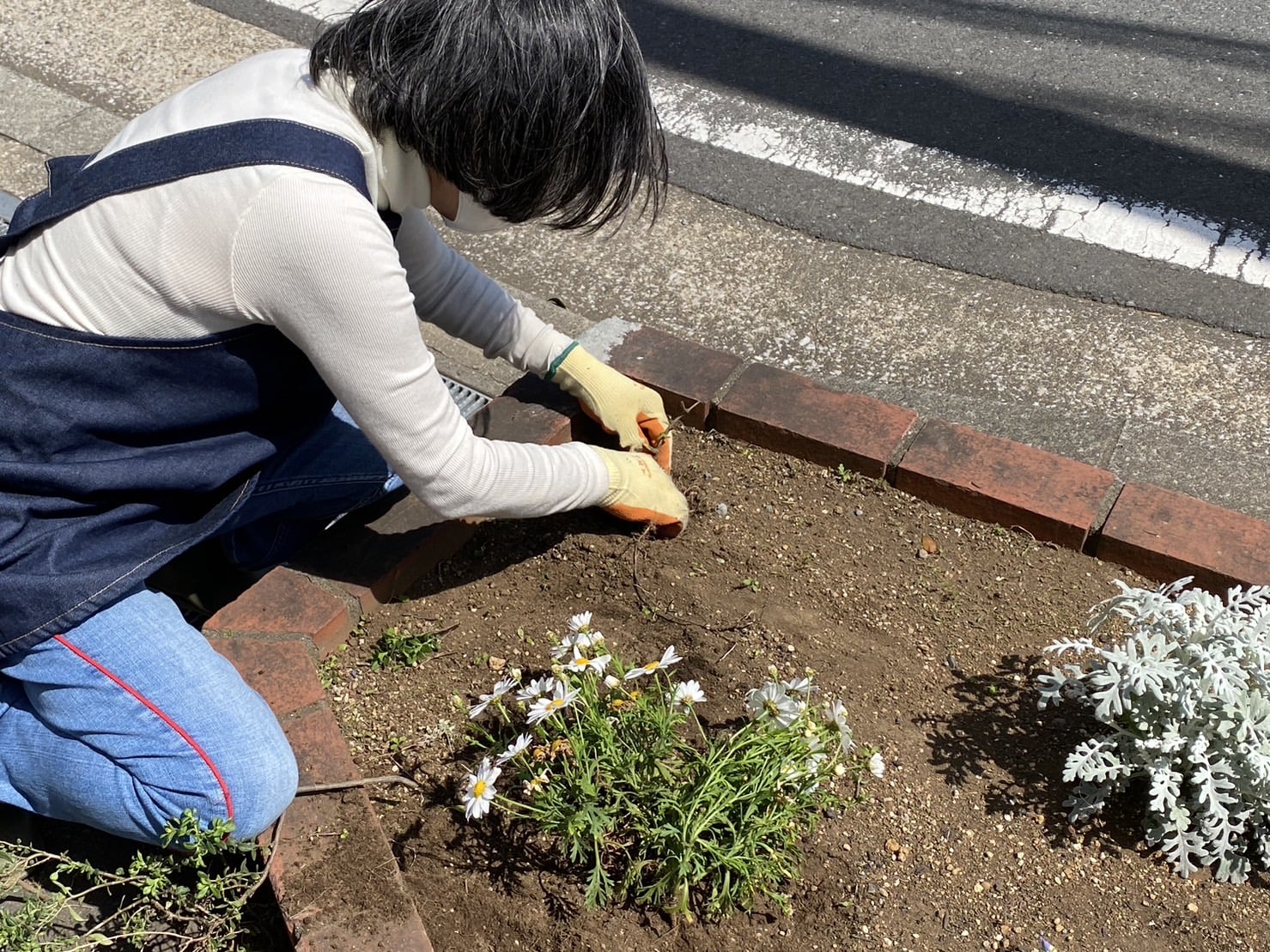 緑化計画2023・園芸ボランティアさん再開