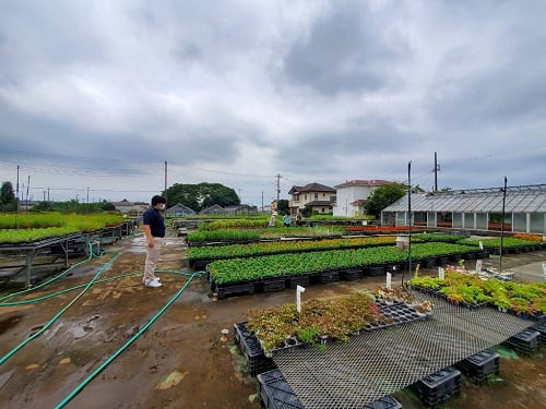 【サークル】菜園サークル✿お花の買い出し