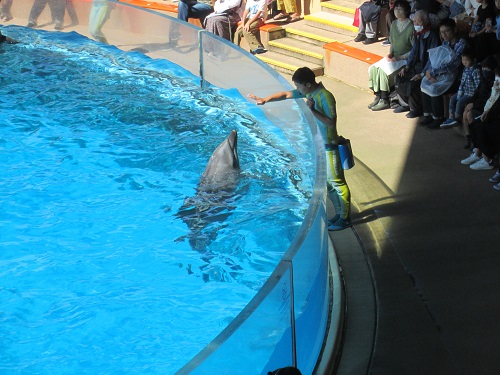 【外出企画】貸し切りバスで行く！新江ノ島水族館＆海鮮ランチ！