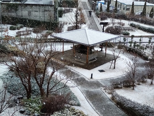 関東地方2年ぶりの大雪・・