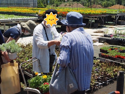 お花の買い出しに行ってきました♪