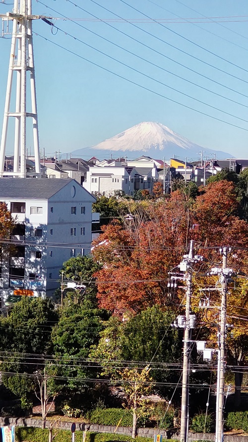 すっかり雪化粧