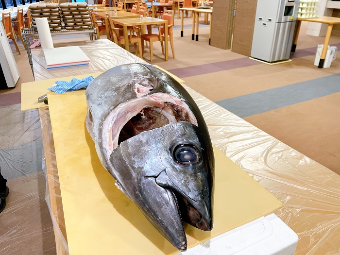 マグロの解体ショー