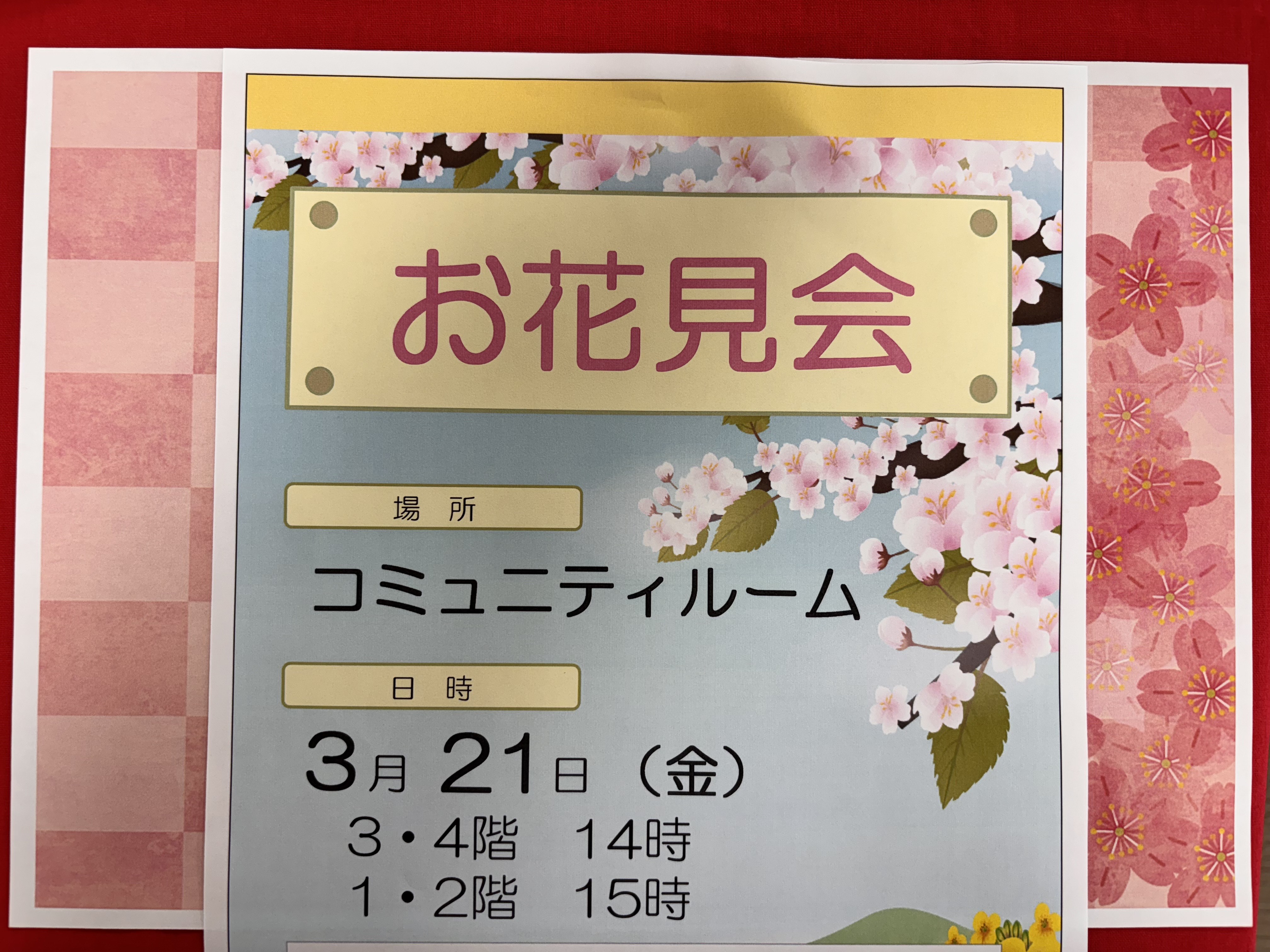 お花見会準備中♪