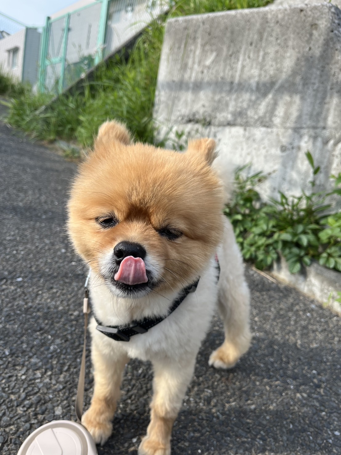 UKEblog（No.39）：雨ニモマケズ風ニモマケズ