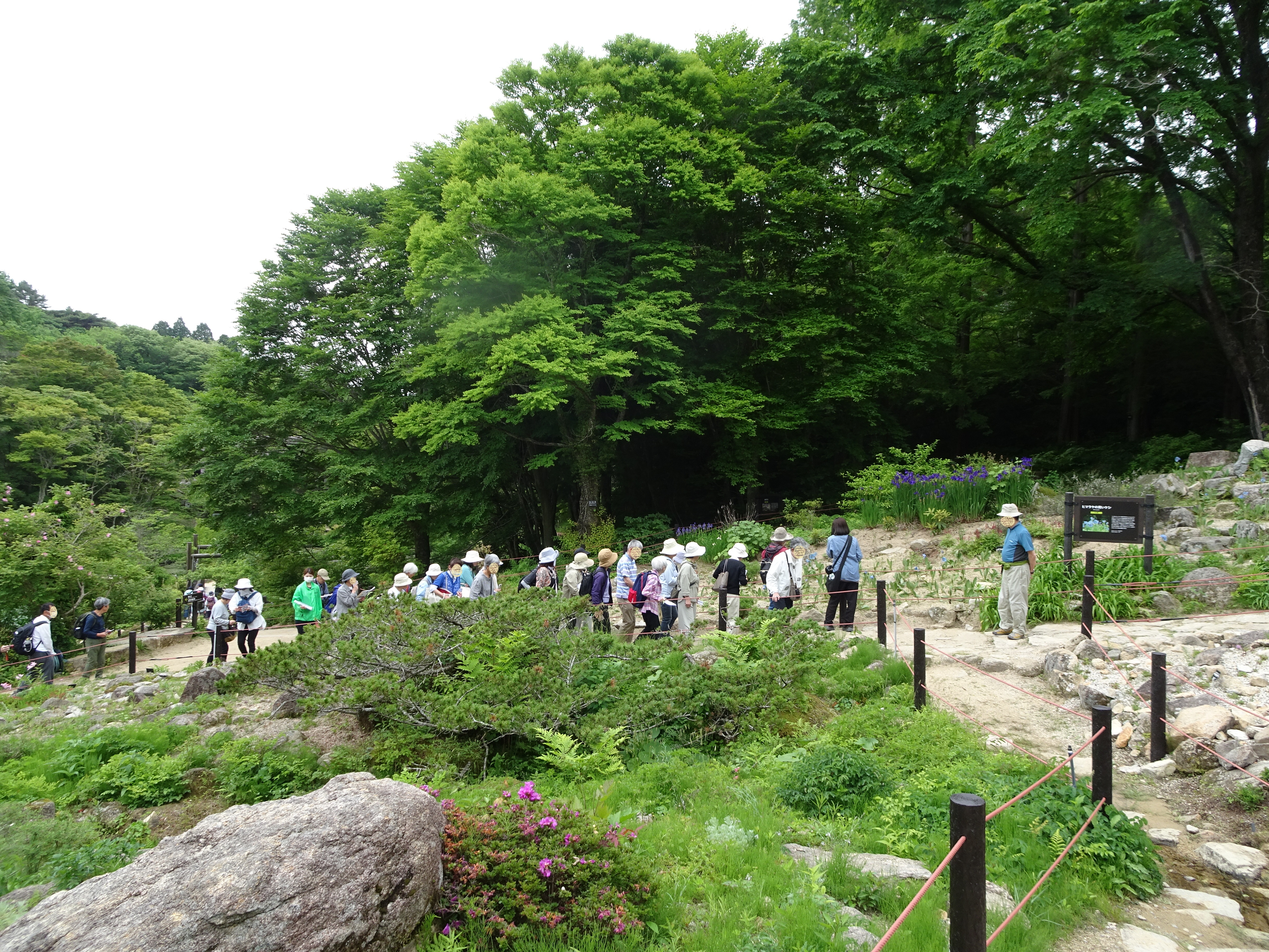 ご近所外出便～六甲高山植物園～