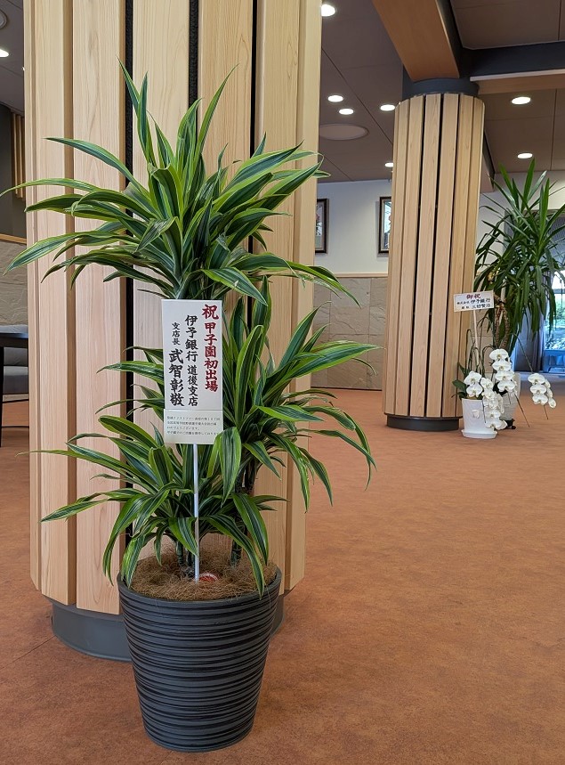 お祝いをいただきました
