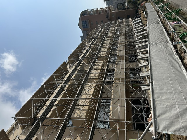 エデン建替ナビ（NO.002）工事用足場と桜