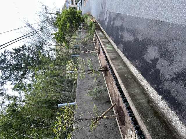 エデン建替ナビ（NO.004）E棟の植木を移植しました