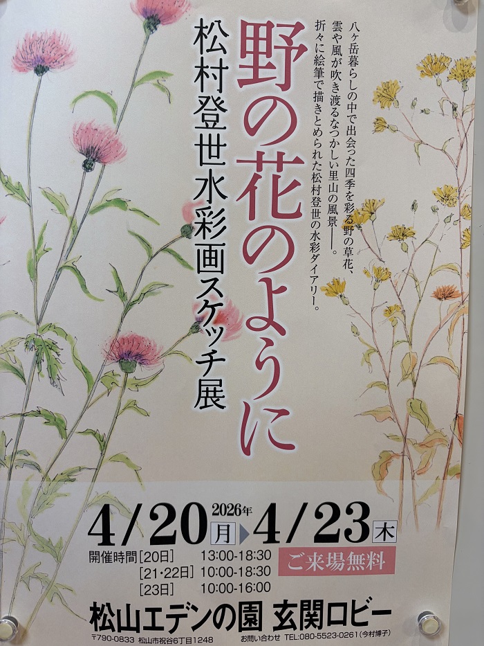 「野の花のように」松村登世水彩スケッチ展を開催しました