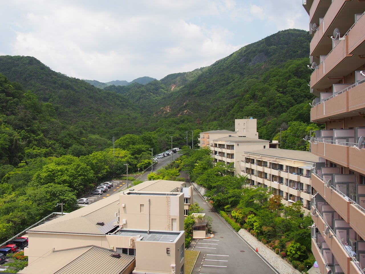 新緑とお花