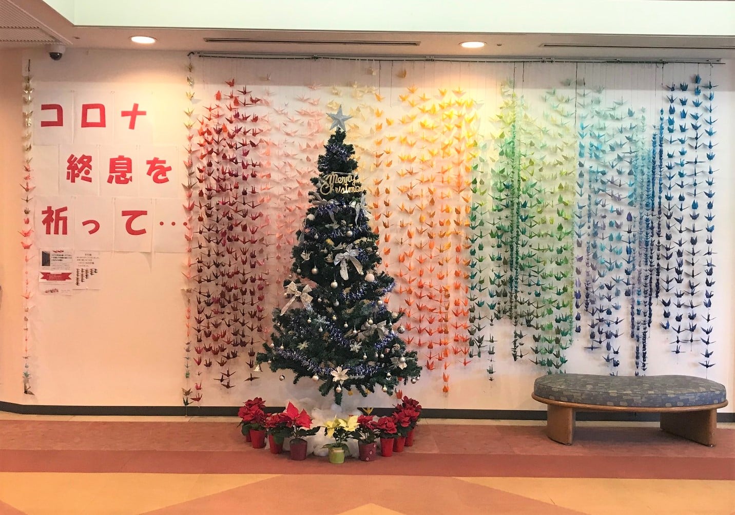 園内クリスマス飾り＆今後のクリスマスイベント♪