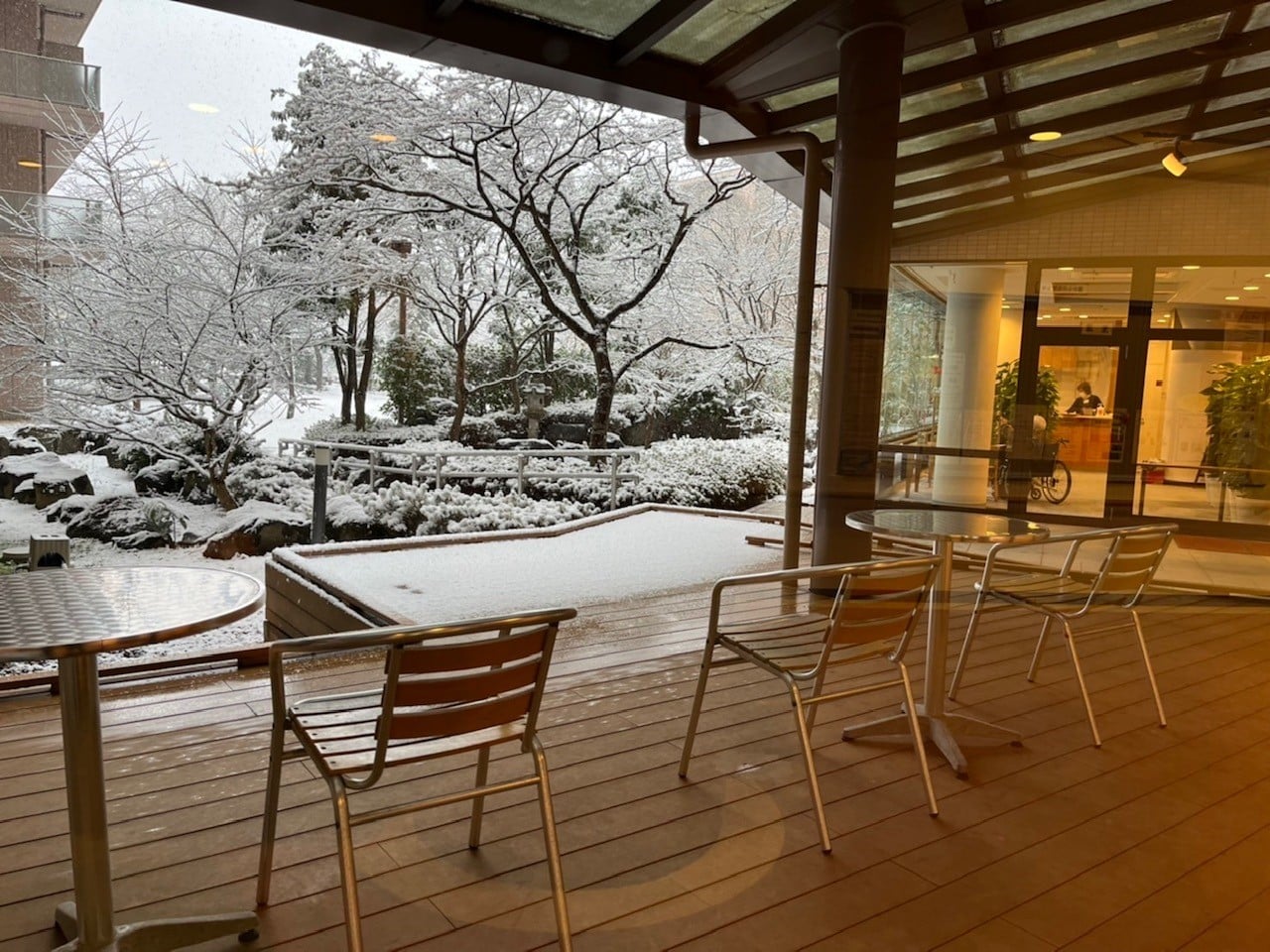 2022年初雪！（15時頃の様子）