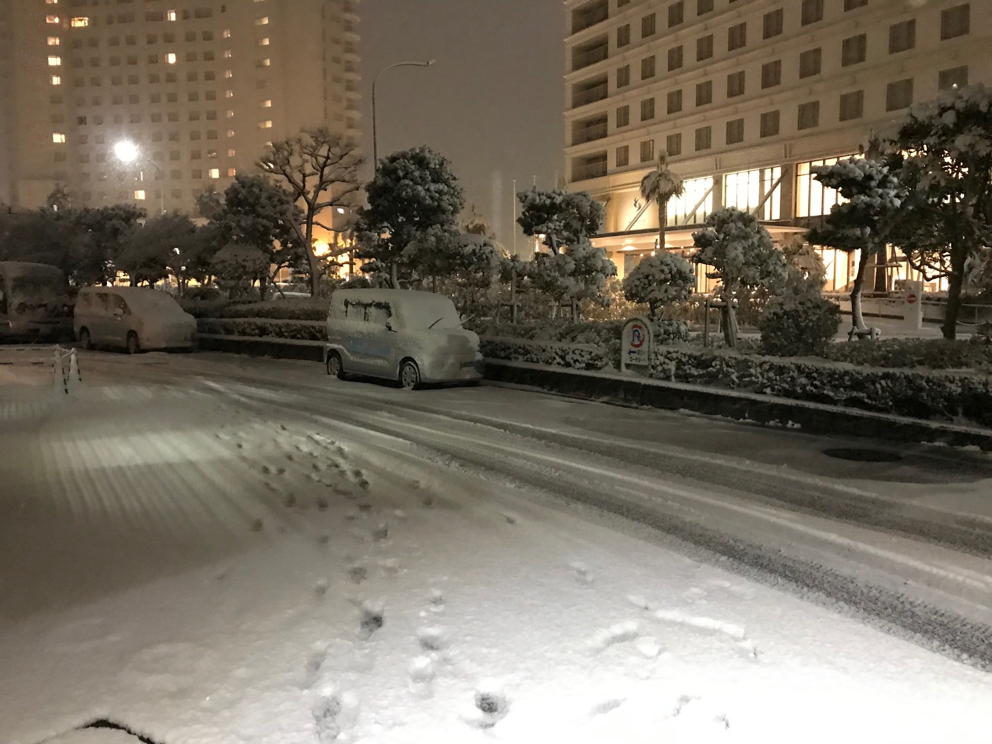 2022年初雪！（19時頃の様子）
