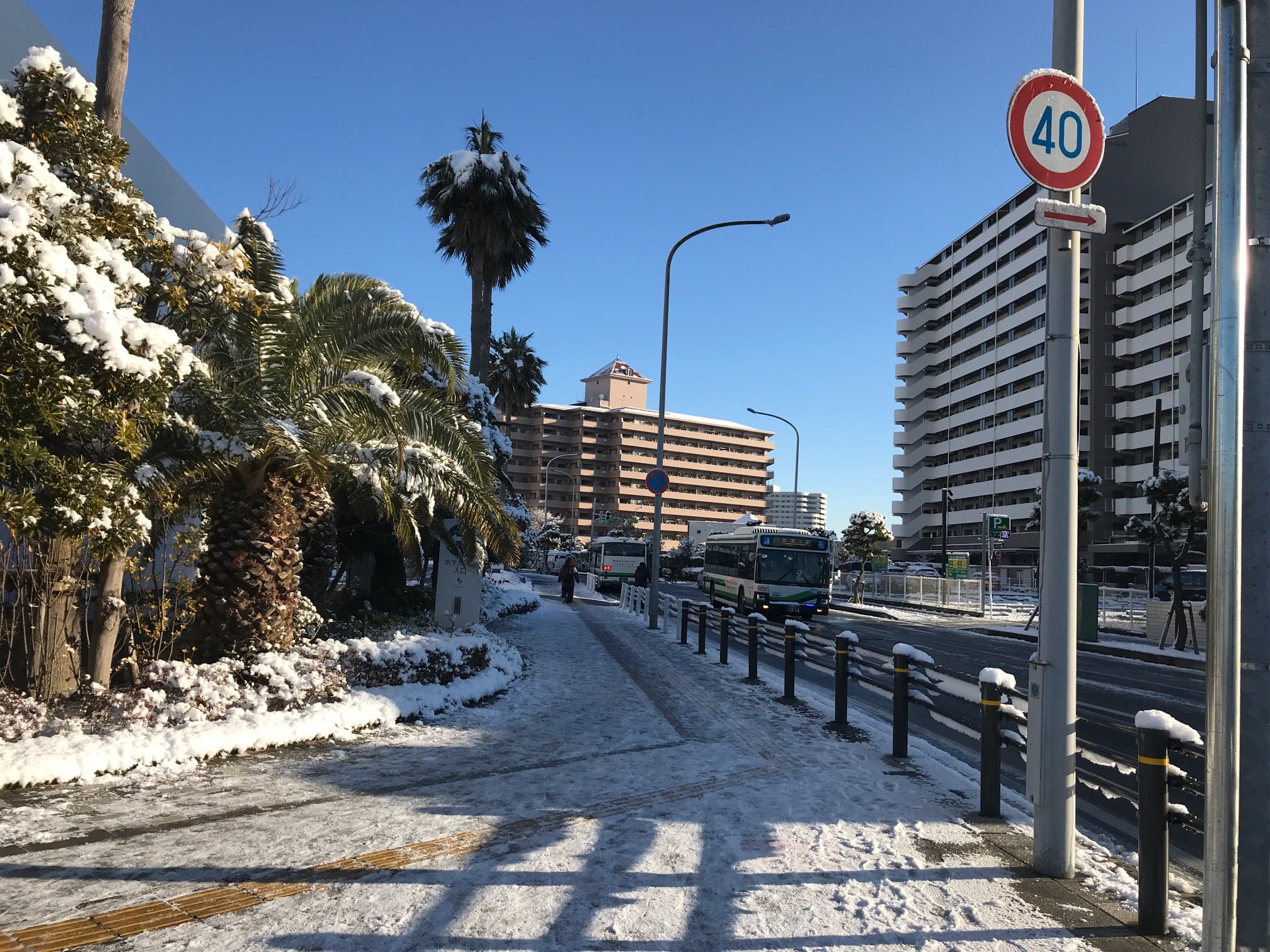 2022年初雪！（翌日午前8時半頃の様子）