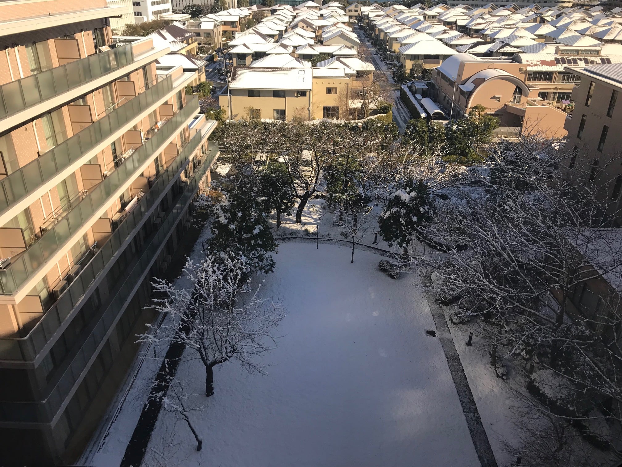 2022年初雪！（翌日午前10時半頃の様子）