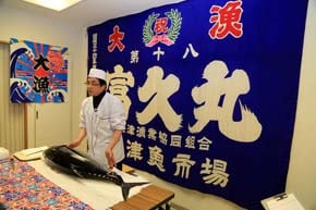 マグロの解体ショー