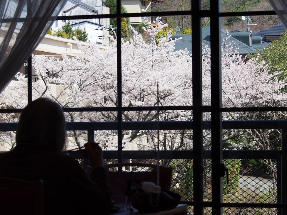 お花見松花堂弁当 