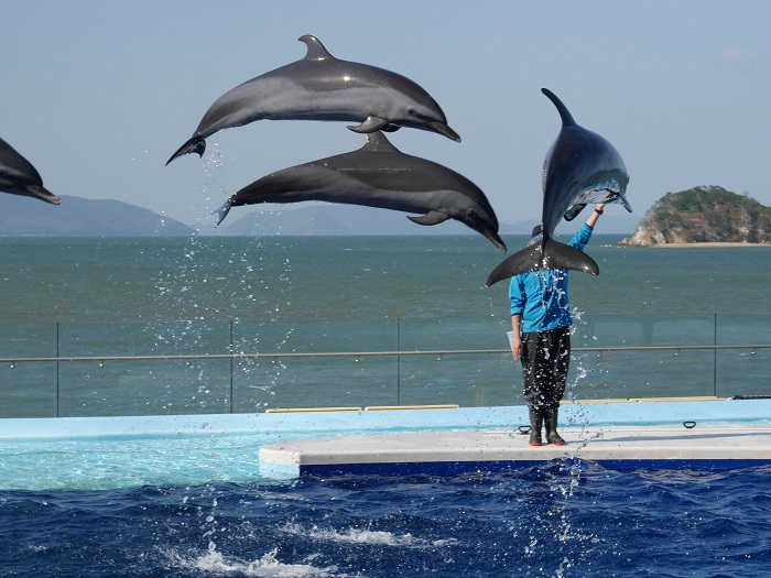 久しぶりの秋のバス旅行