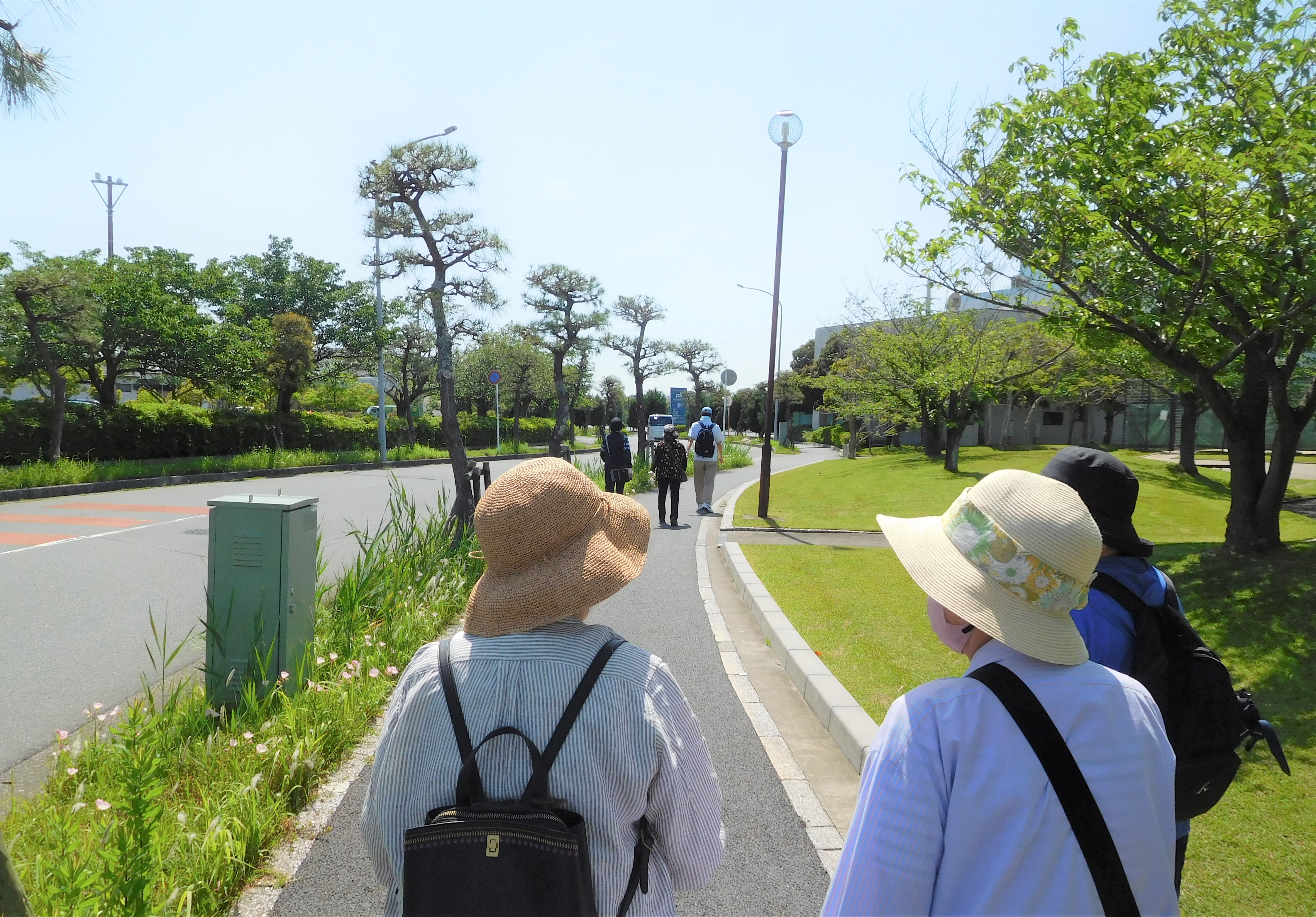 ウォーキング企画を開催しました