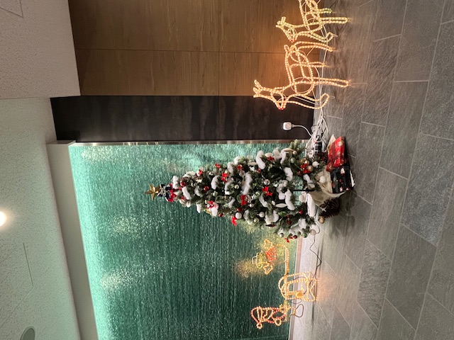クリスマスツリーを飾りました☆