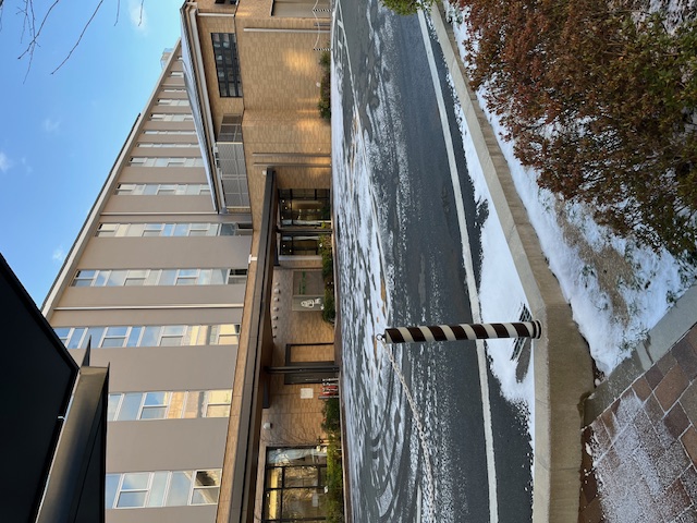 雪が降りました