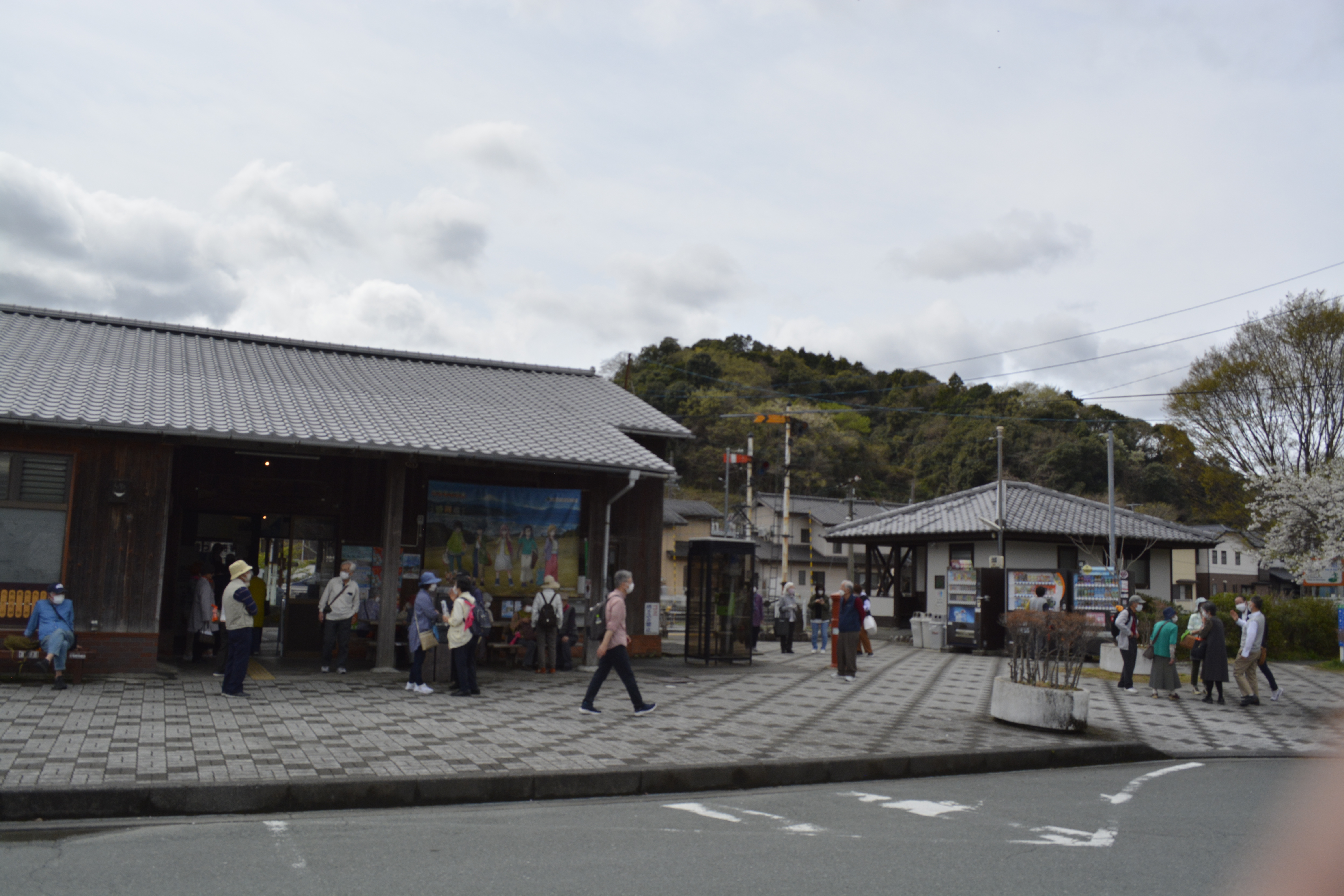 【お花見企画】 天竜浜名湖鉄道　貸切列車　天竜二俣から掛川の旅
