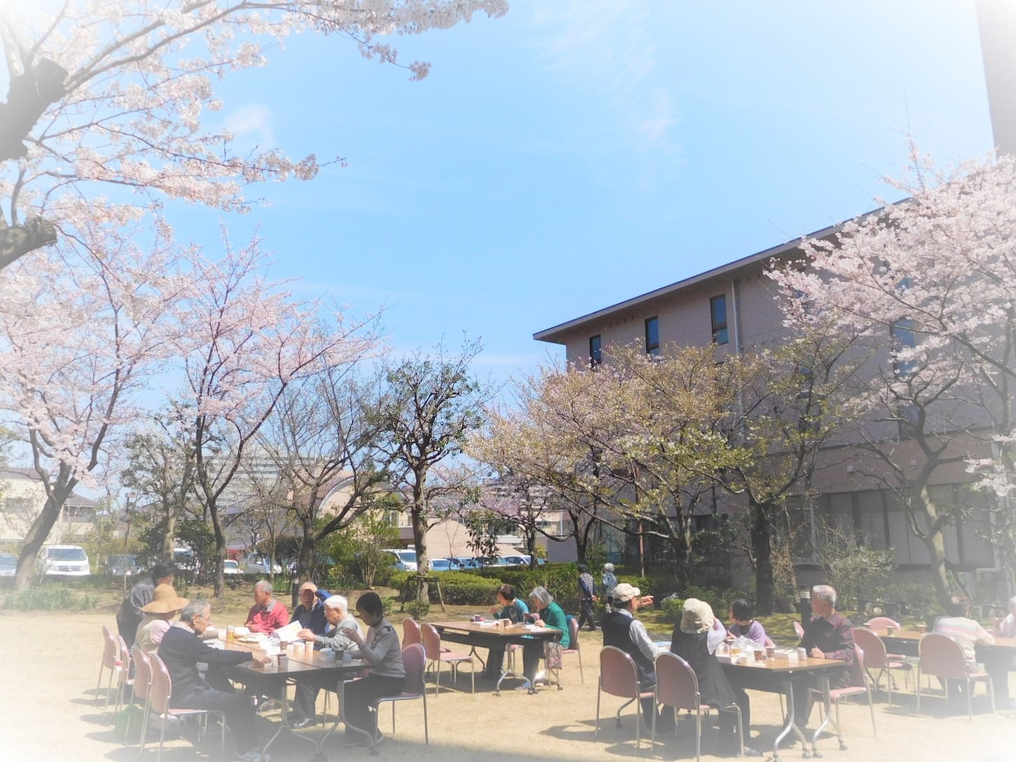 さくらフェア2017を開催しました【お花見】