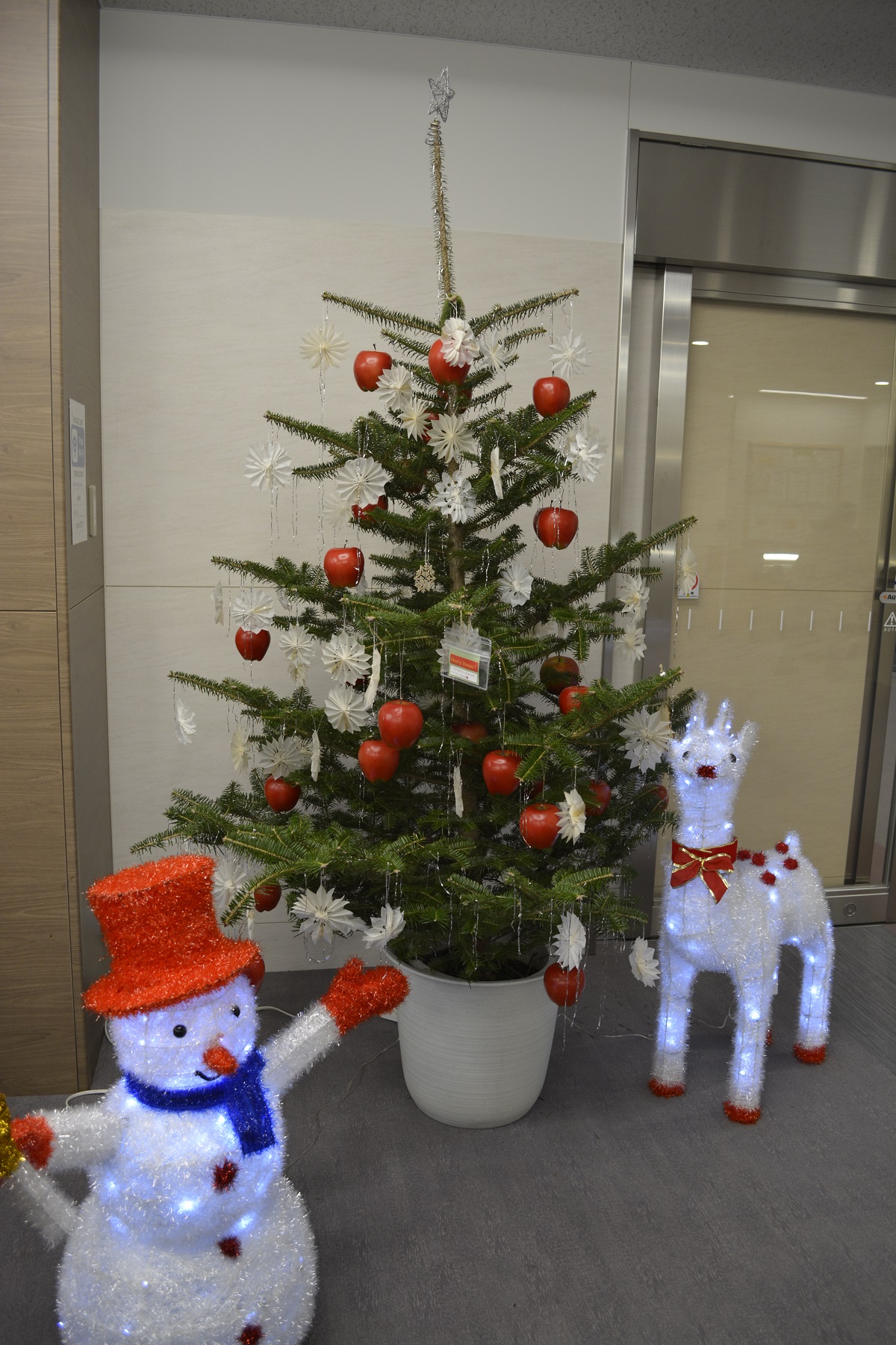 可愛らしいクリスマス飾りは園内のあちらこちらに