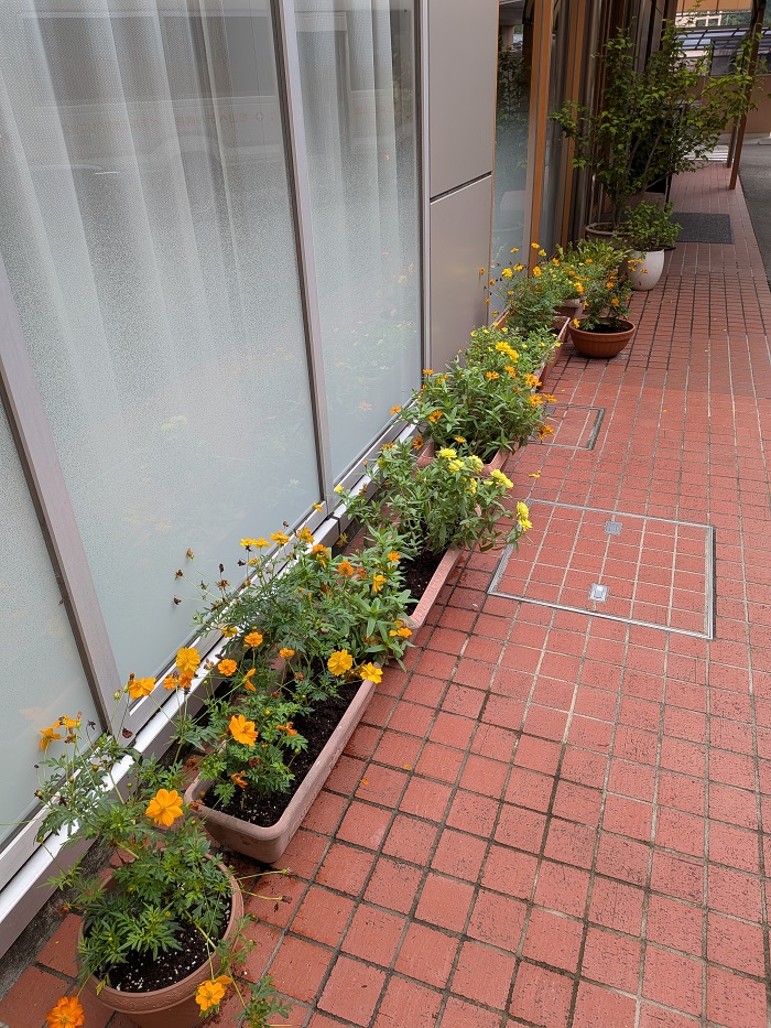 暑さを乗り越えみんな元気になりました！