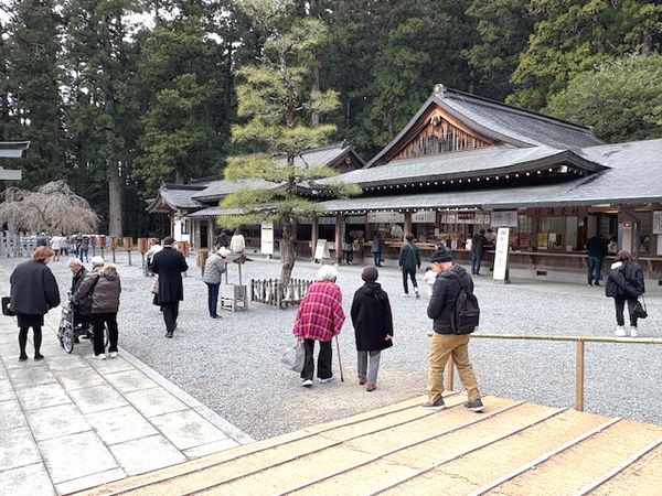 自然に囲まれた境内は空気が澄んでいます