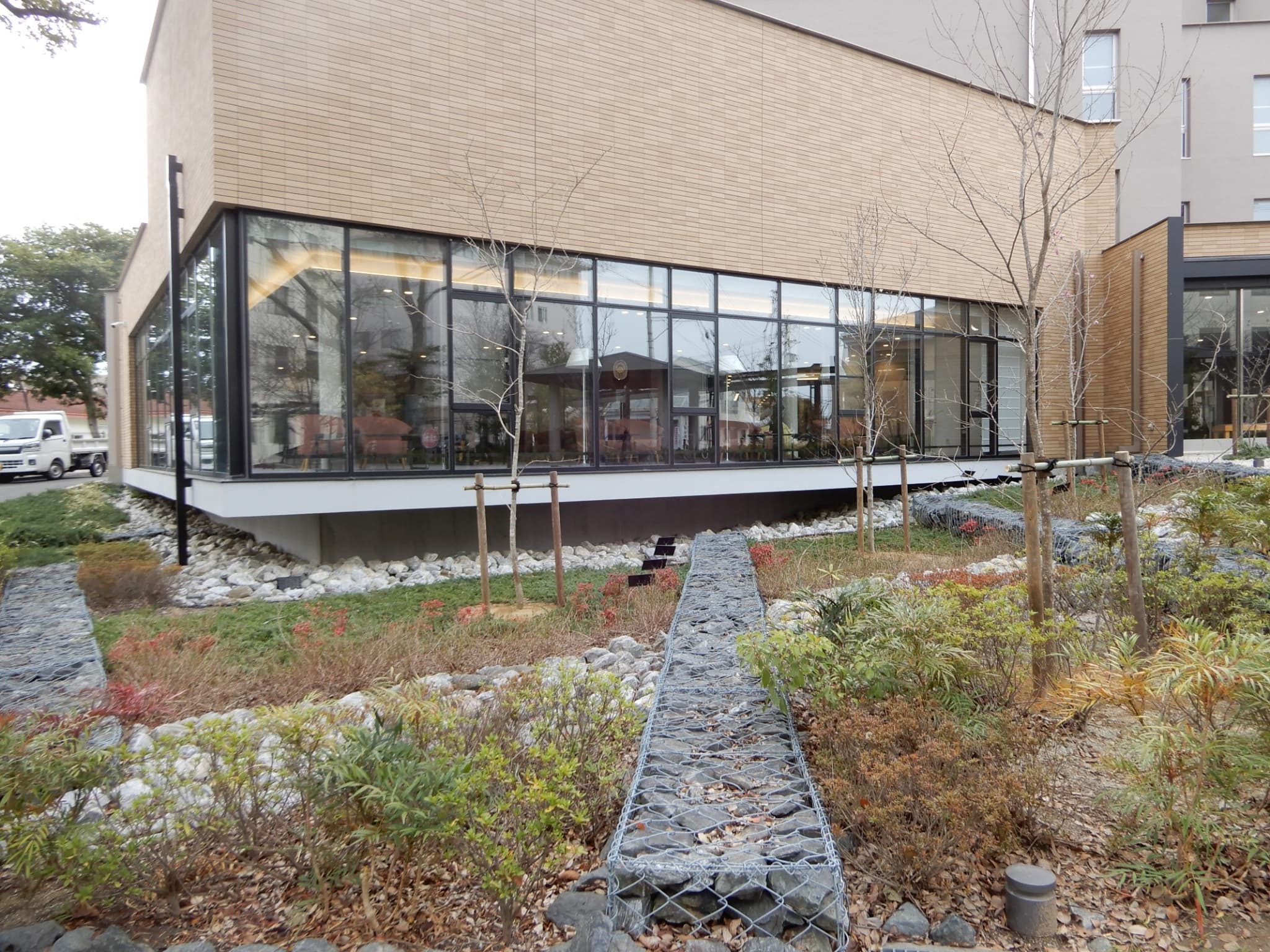 コブシやコナラが大きく成長していくのが楽しみです