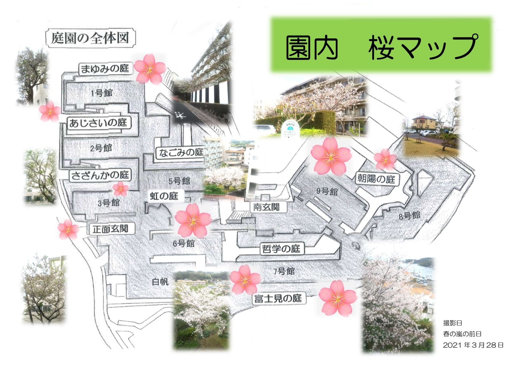 『園内 桜マップ』を作成し、ご入居者へお配りしました。
各庭の名称などがわかりやすいと、ご入居者からも好評でした。