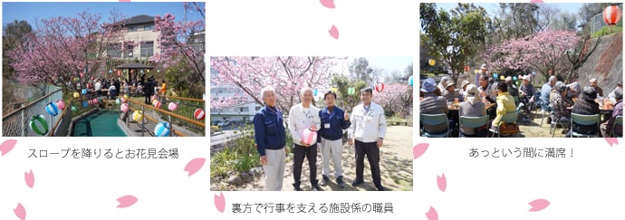 お花見