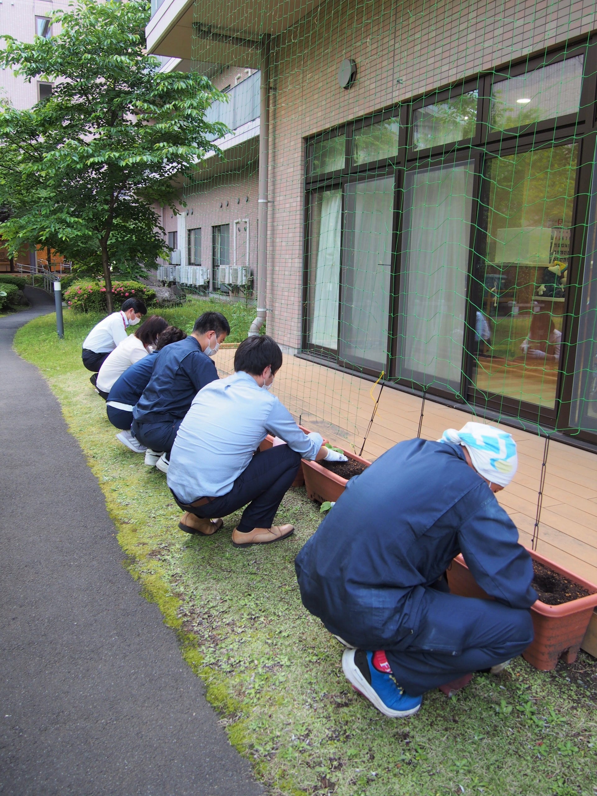 ケアセンター1階のベランダにゴーヤの苗を植えます