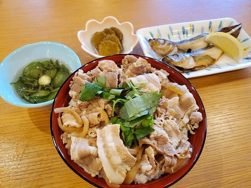 A食：豚丼