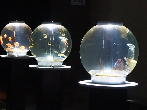 会場内は幻想的な雰囲気に包まれていました