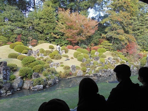 龍潭寺のお庭のドウダンツツジの紅葉を観賞中♬
