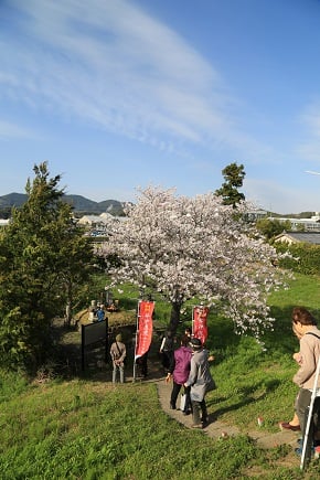 浜名湖エデンの園 外出企画「直虎ゆかりの地めぐり」ツアー開催しました