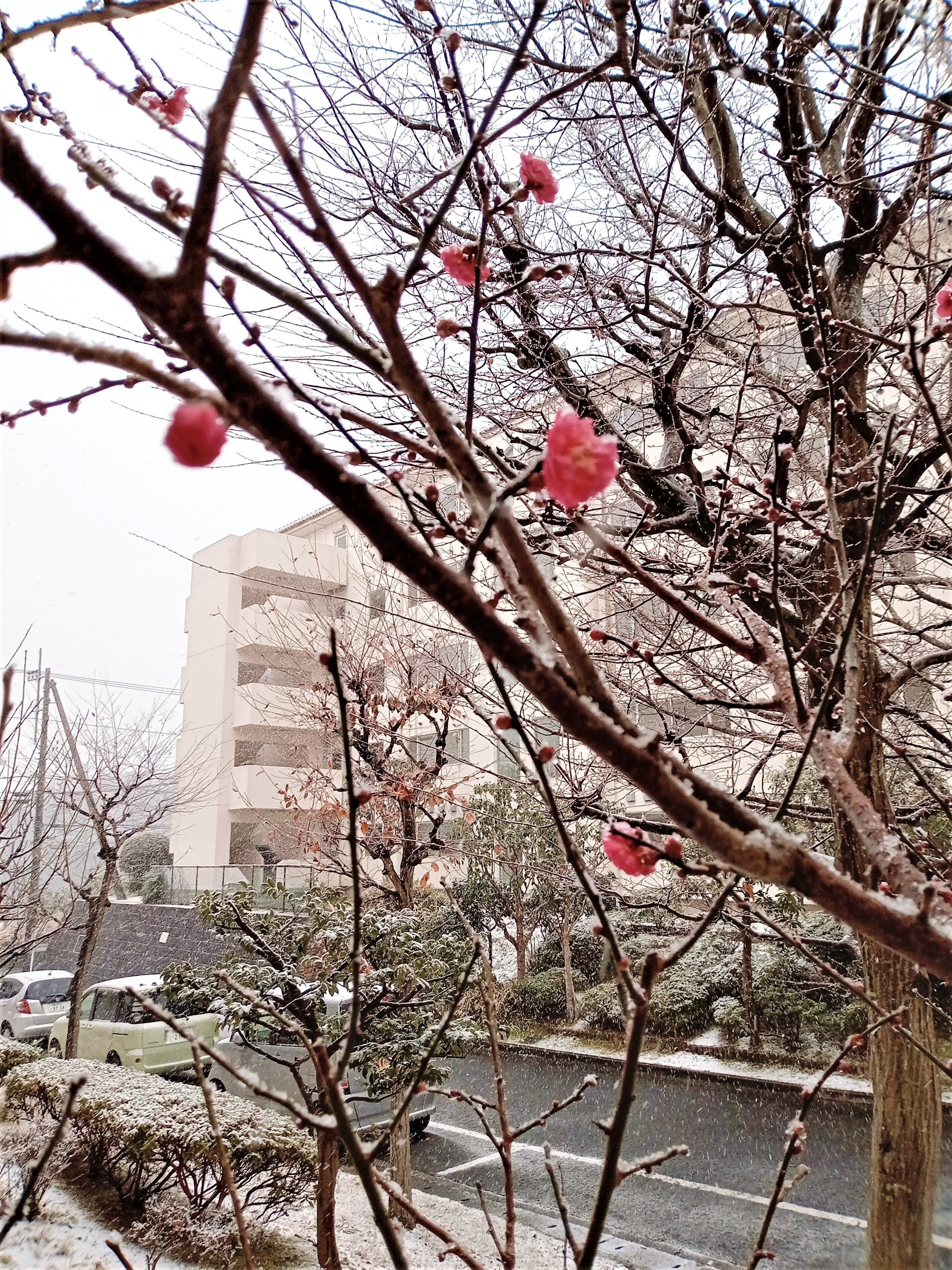 園内庭園その2