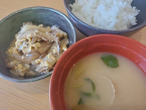 ◆栃木郷土料理「干ぴょうの卵とじ