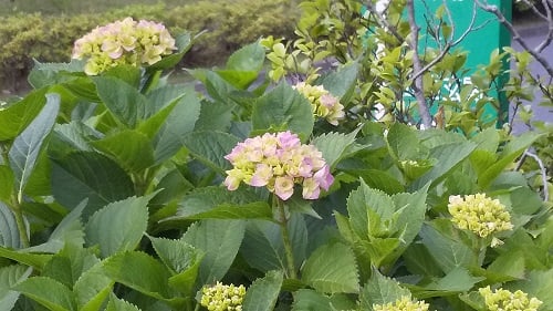 ◆5月23日（月）