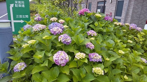 ◆5月30日（月）